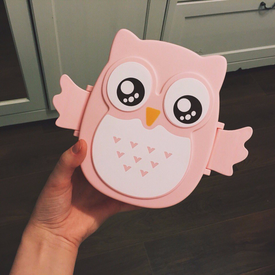 Kawaii Candy Color Owl Lunch Box Microwave Oven Bento Container Case Dinnerware Children